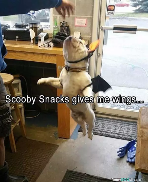 Scooby Snacks Give Me Wings