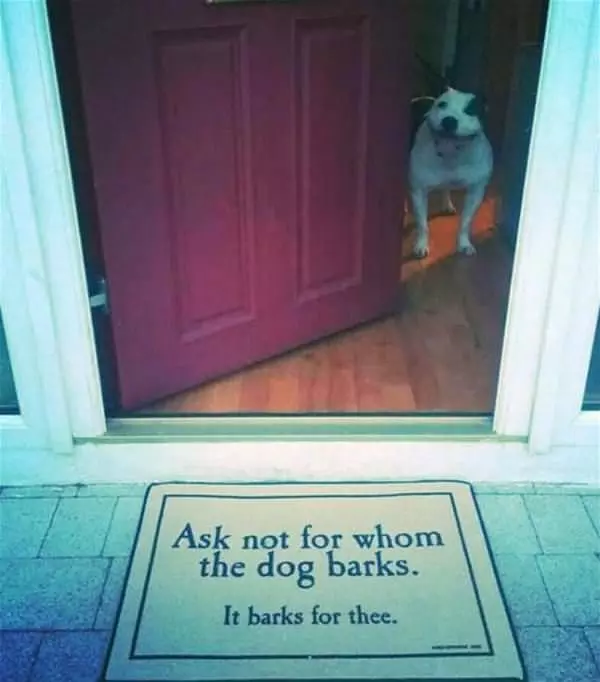 Ask Not For Who The Dog Barks