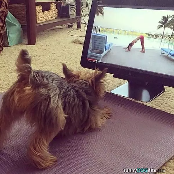 Doing Some Yoga Here