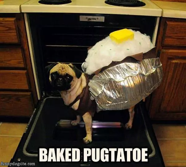 Baked Pugtatoe