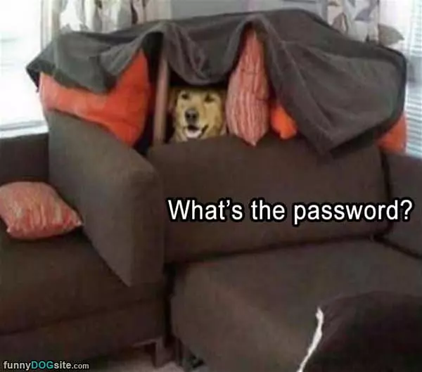 Whats The Password