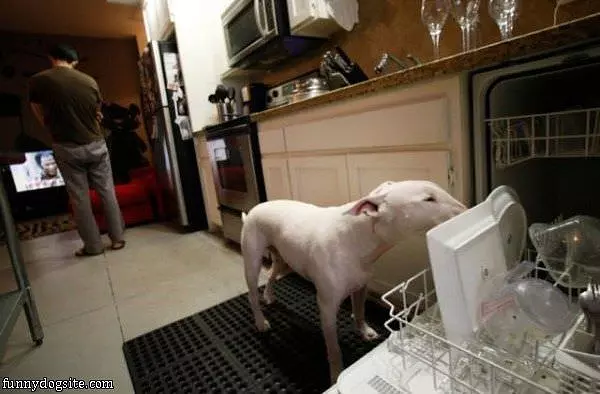 No Need For Dishwasher