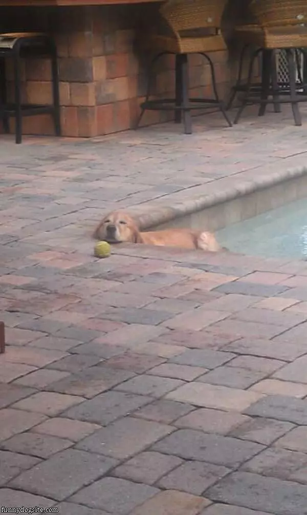 Cooling Off In The Pool