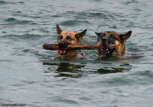 Sharing The Stick