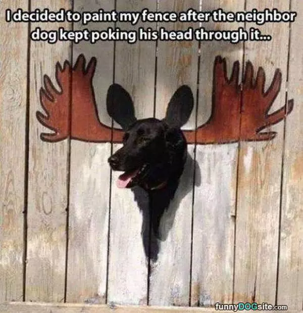 Painted My Fence