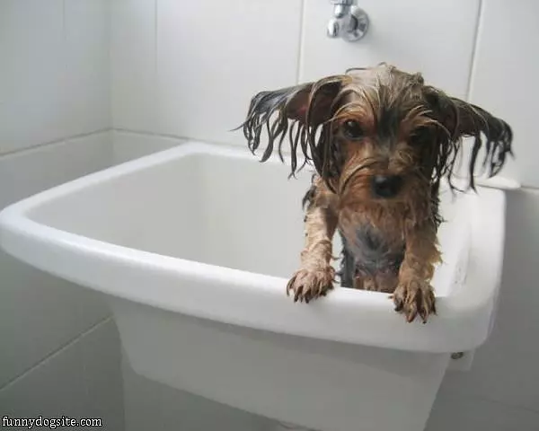 This My Bath Tub