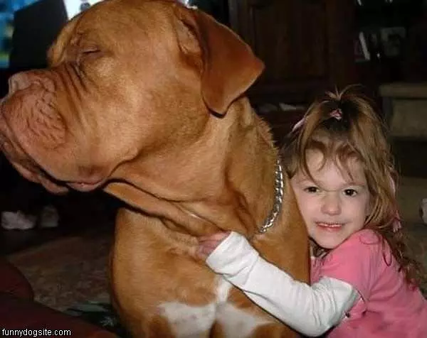 Little Girl And Big Dog