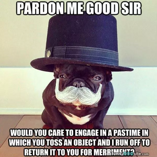 Pardon Me Sir