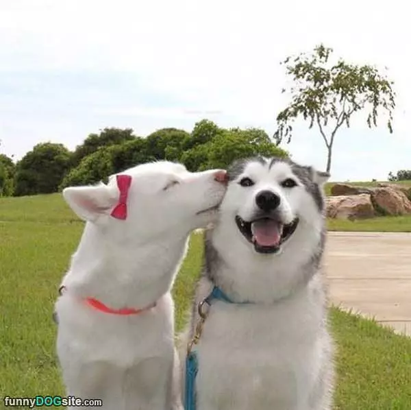 Giving Out Kisses