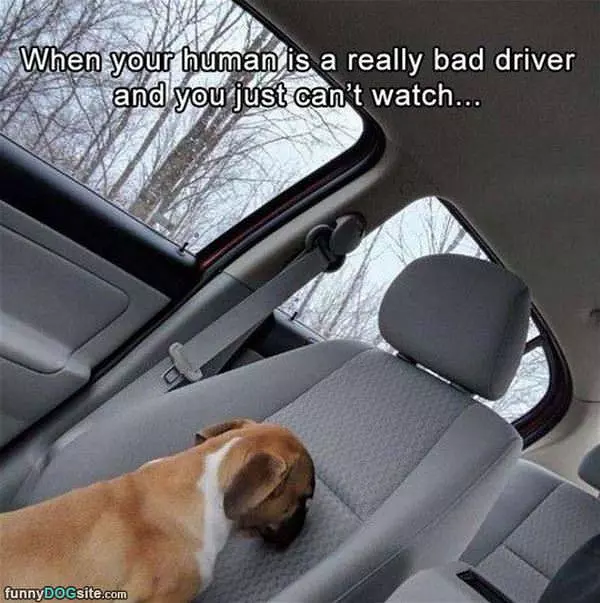 A Terrible Driver