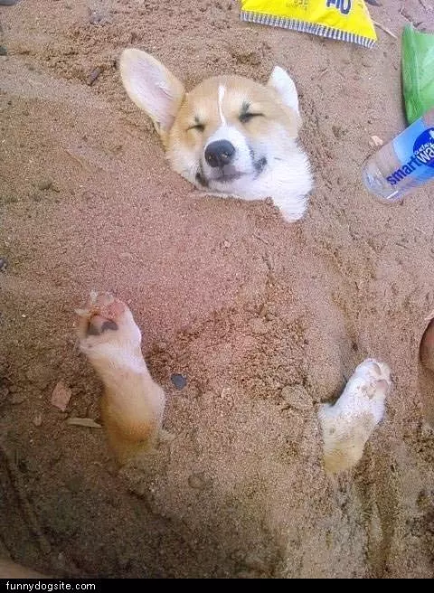 Buried In The Sand