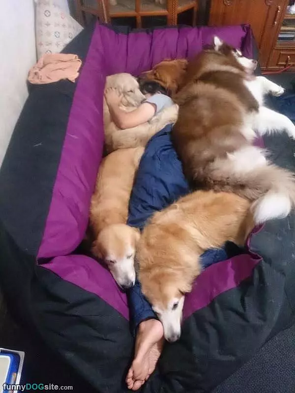 Napping With My Buddies