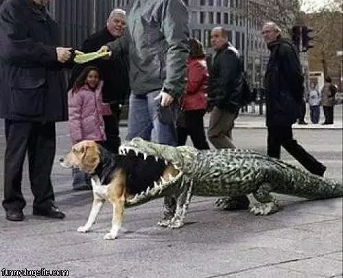 Gator Dog Costume