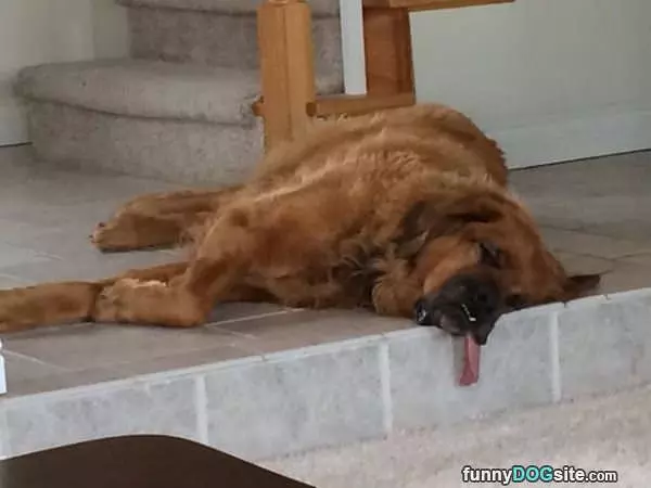 Super Passed Out Tongue