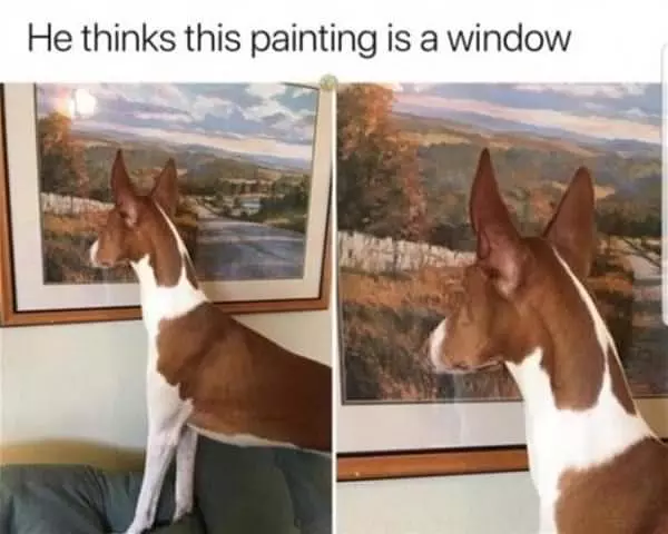 Is This A Window