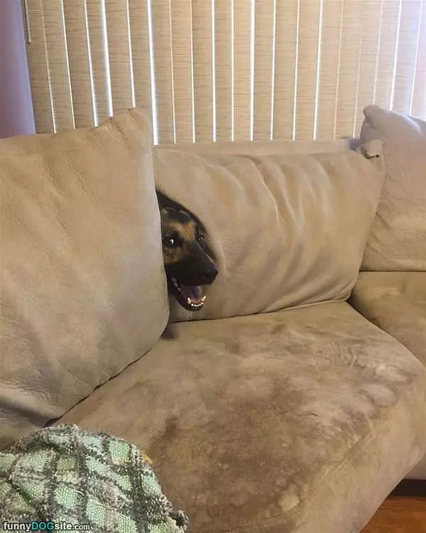 I Am In The Couch