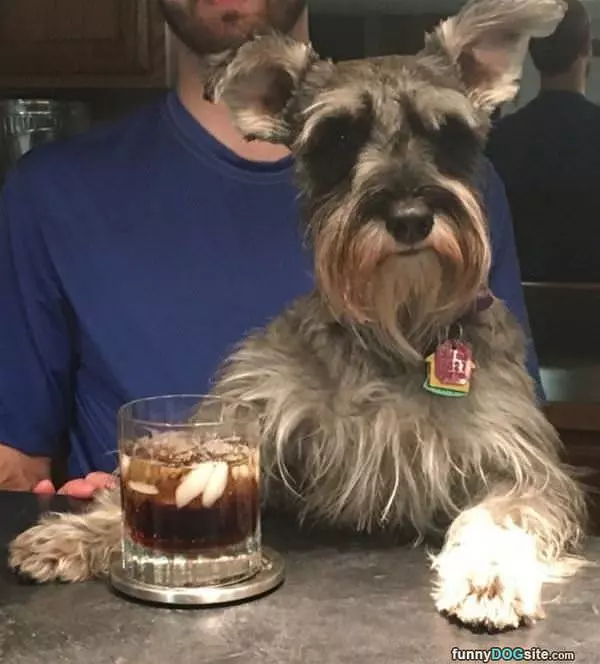 Having A Cocktail