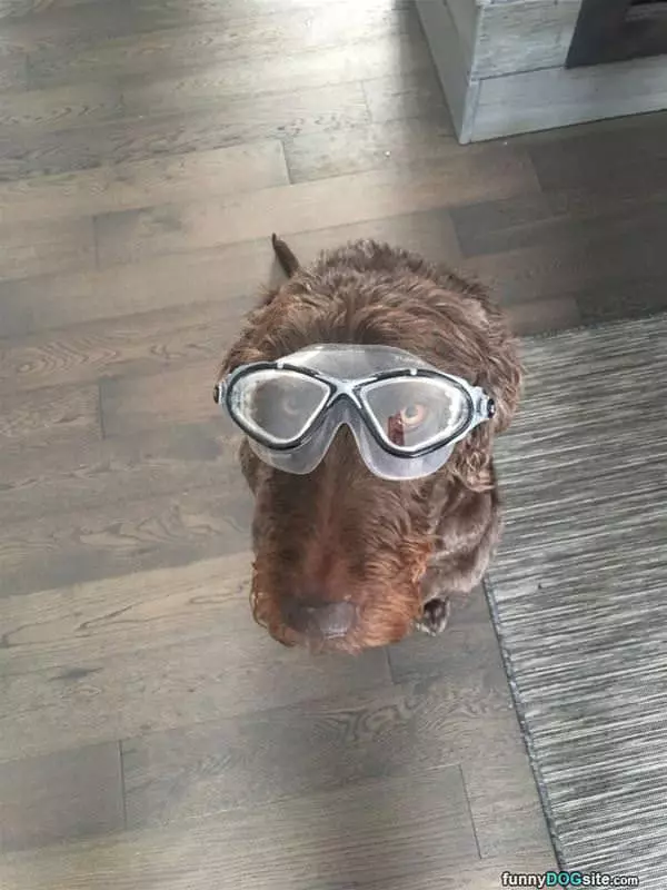 Goggles On