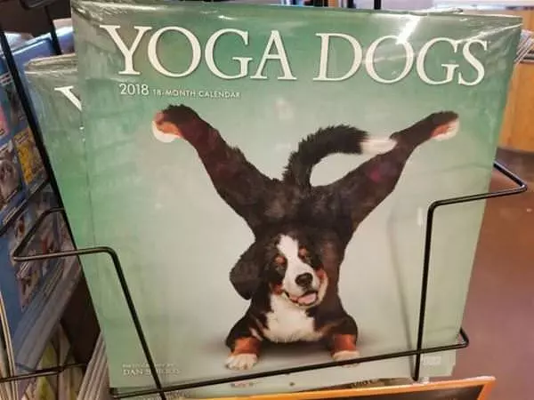 Some Yoga Dogs