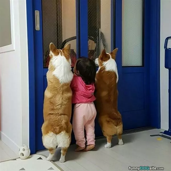 Let Us Out