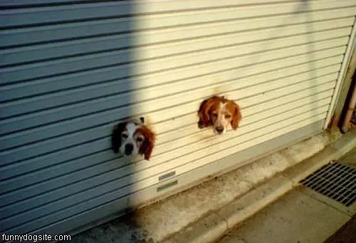 Garage Door Dogs
