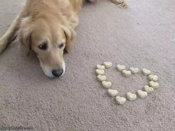 Heart Dog Treats