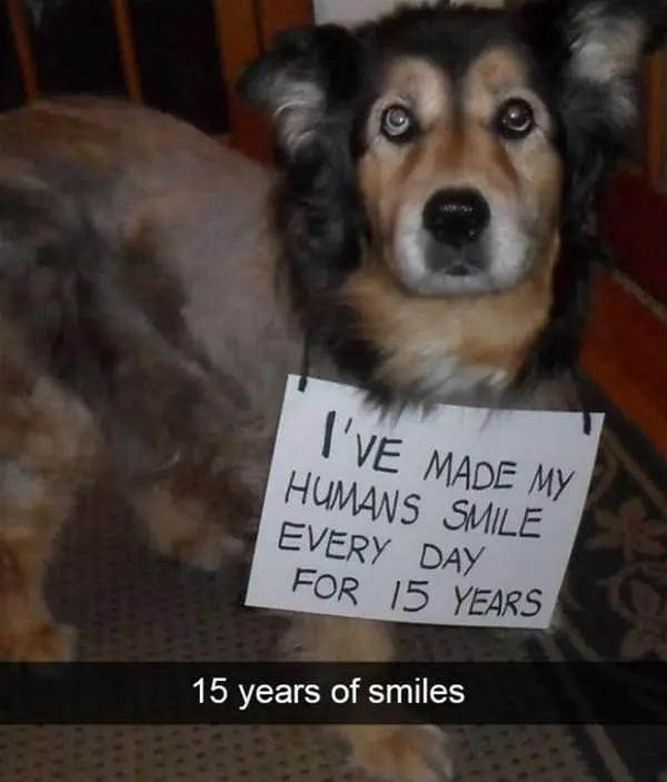 15 Years Of Smiles
