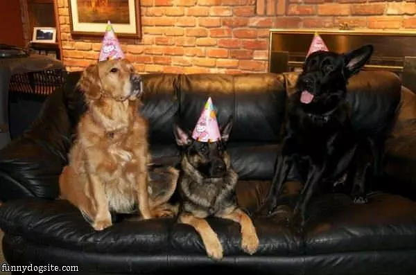 Its A Birthday Party