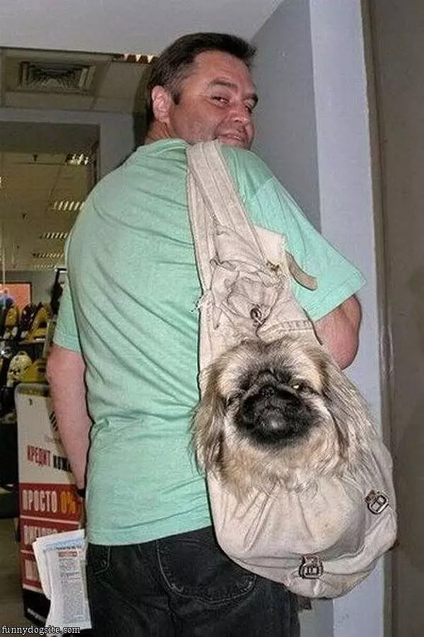 A Doggie Bag