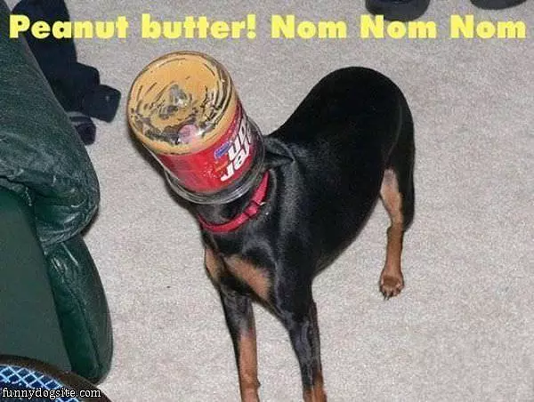 Peanut Butter Omm Nom