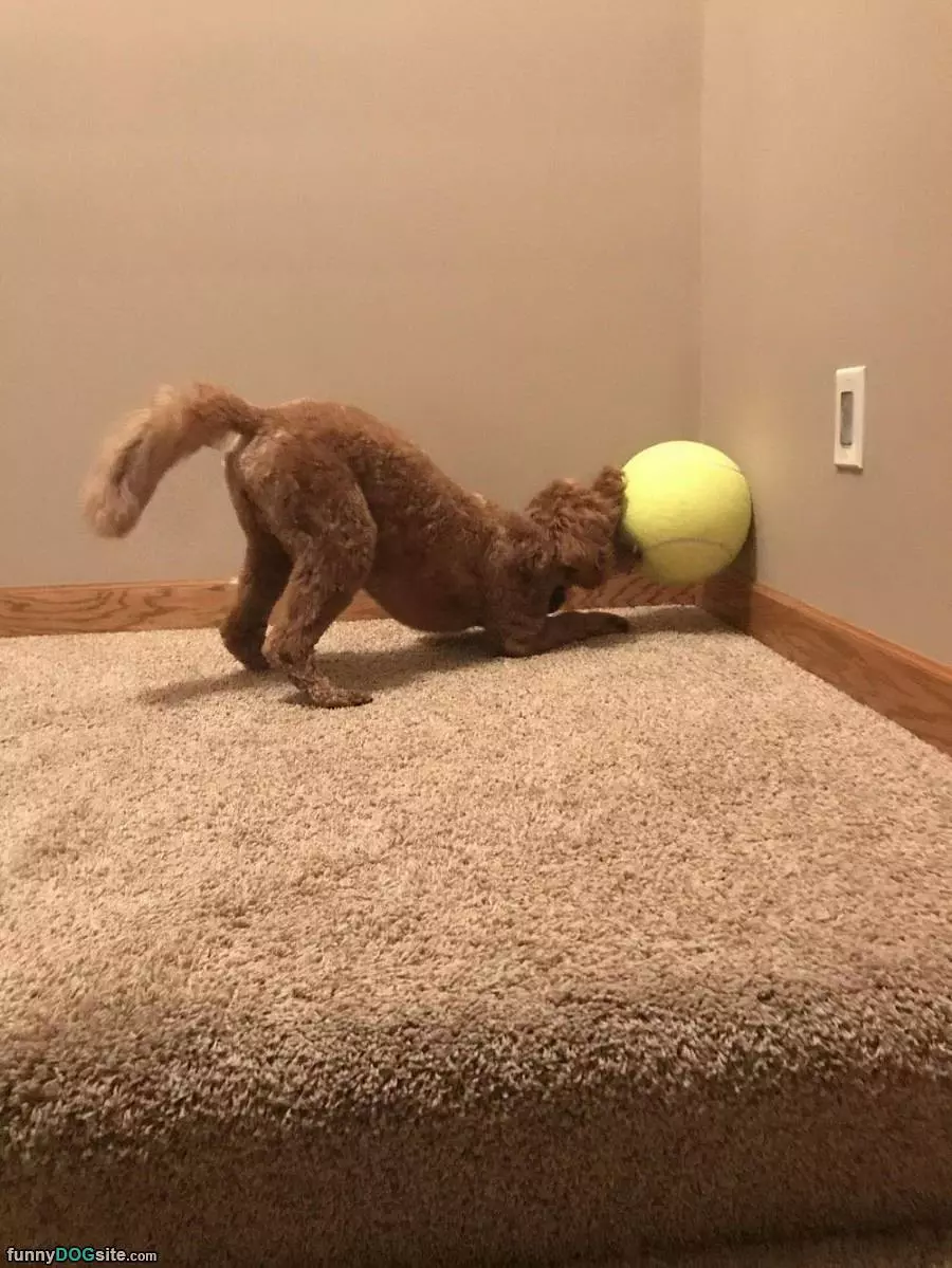 Getting The Ball