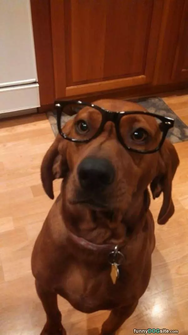 Nice Glasses Buddy