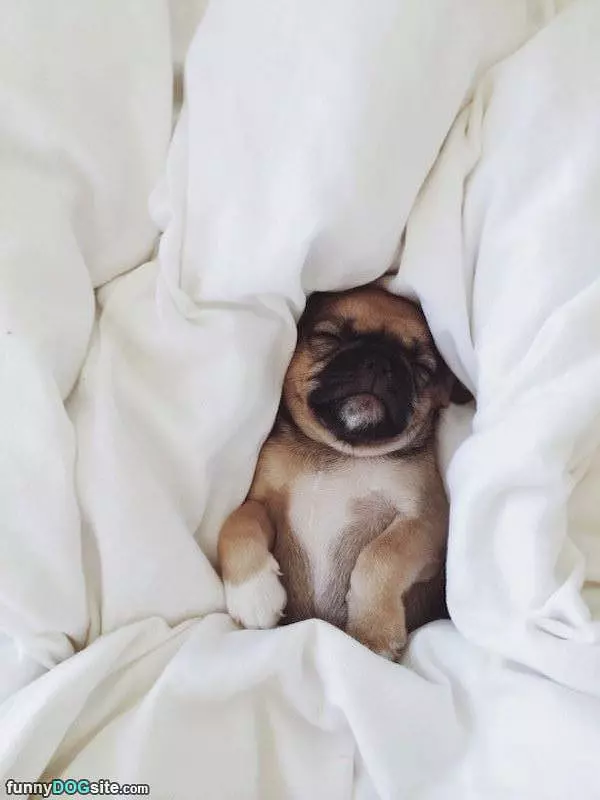 All Tucked Into Bed