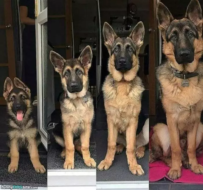 Growing Up Fast