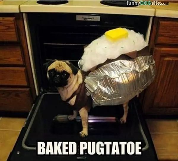 Baked Pugtato