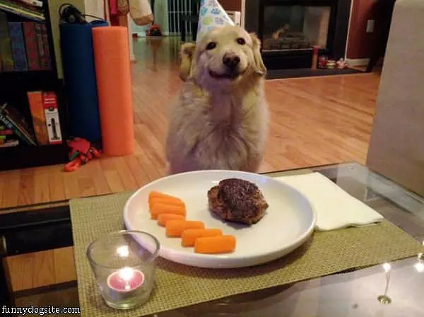 Birthday Dog Is So Happy