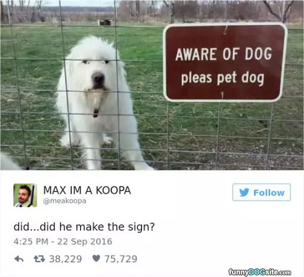 Be Aware Of The Dog