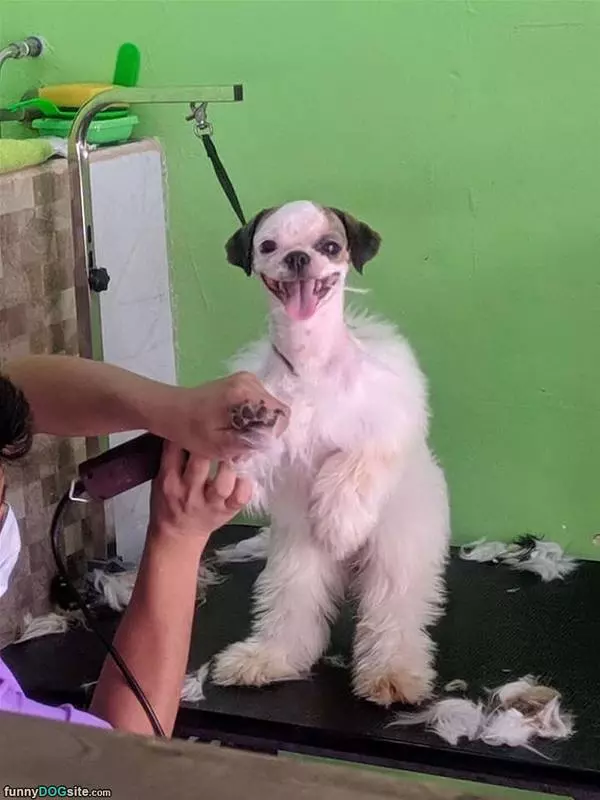 Getting A Shave