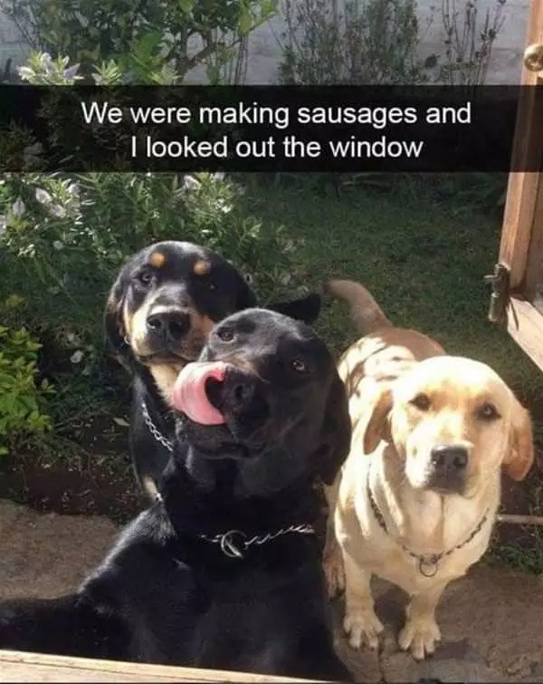 I Was Making Sausages
