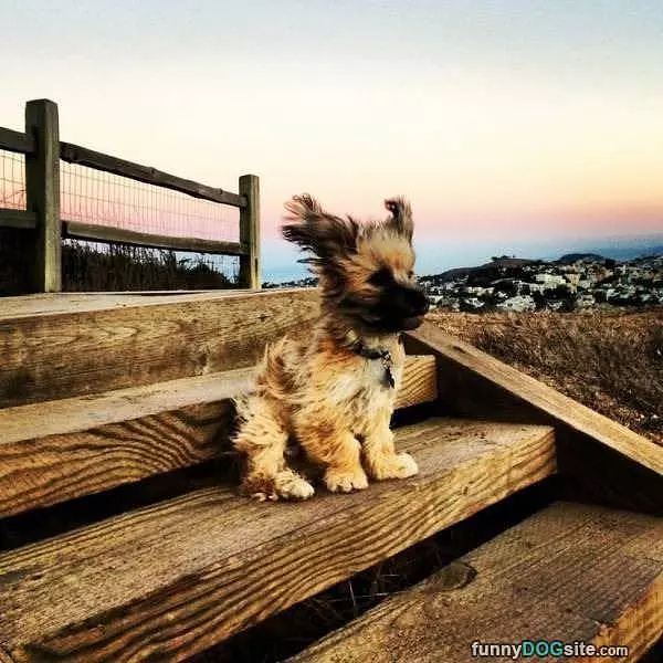 Super Windy Day