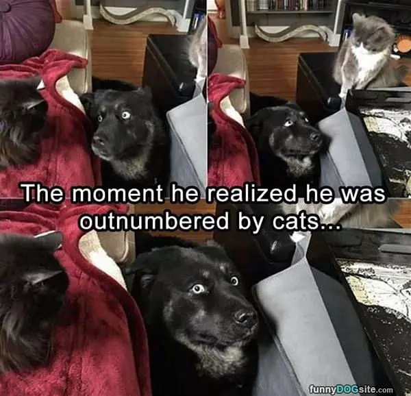 The Moment He Realized