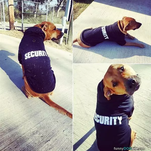 I Am Security