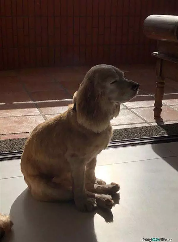 I Sit How I Want To