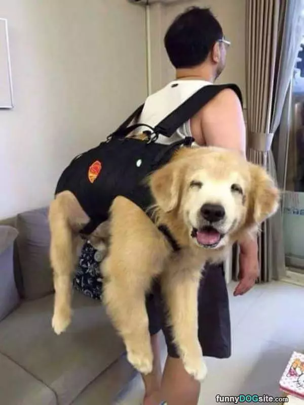 Dog Bagpack