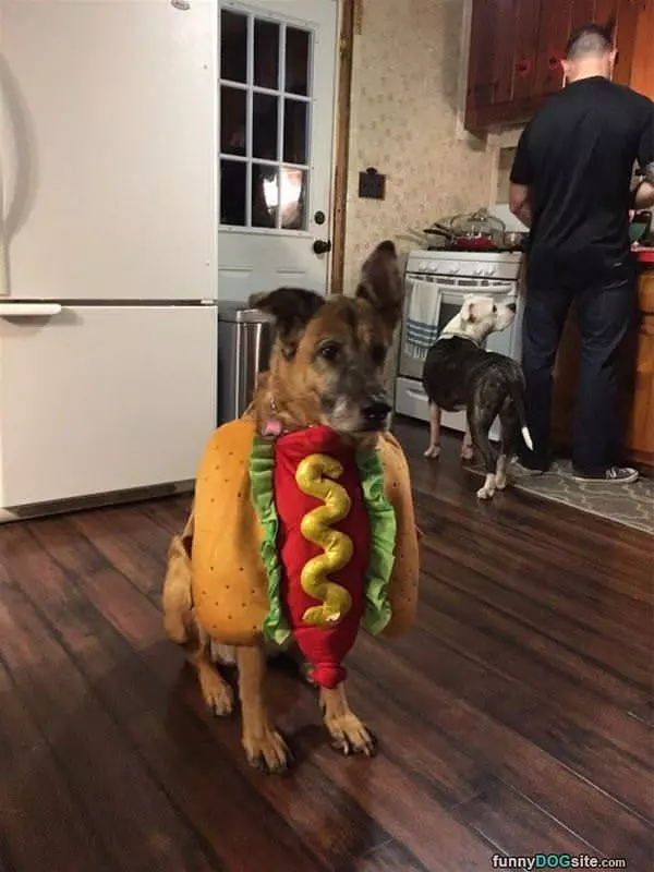 Hot Dog For Real