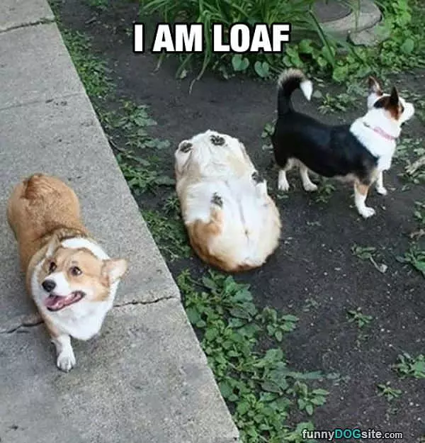 Im A Loaf