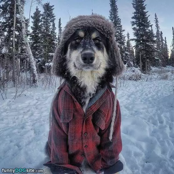 Ready For The Cold