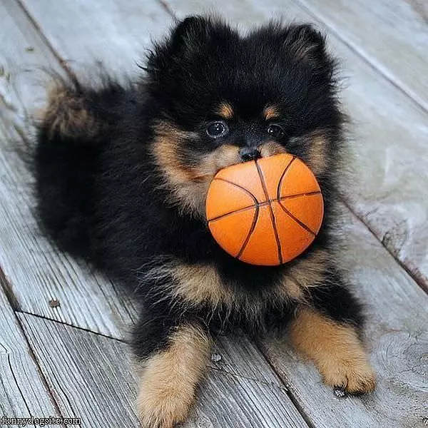 Lets Play Ball