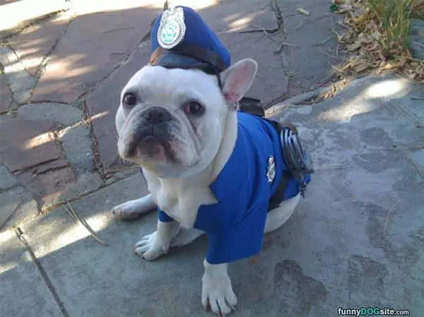 I Am A Police Dog
