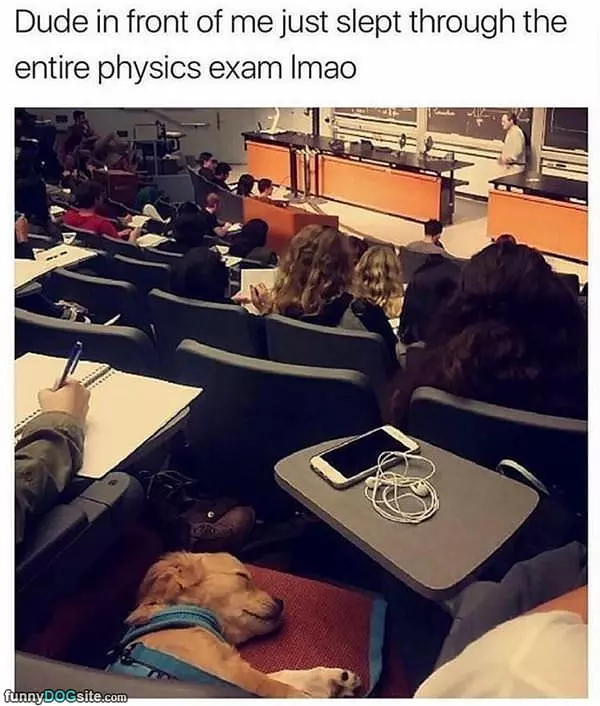 Slept Through The Entire Exam